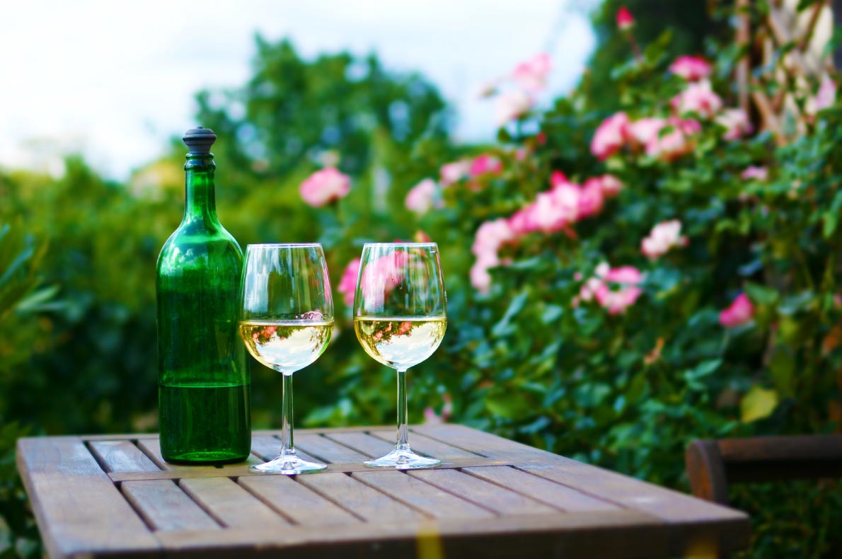 Best things to do in Austria - Vienna wine tour 