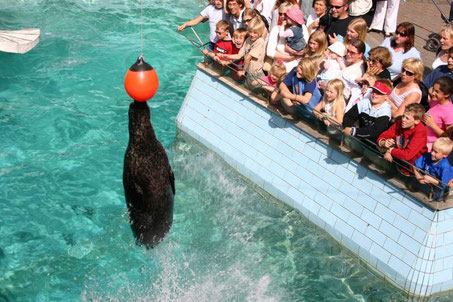 Best things to do in Bergen - Aquarium Copyright VisitNorway