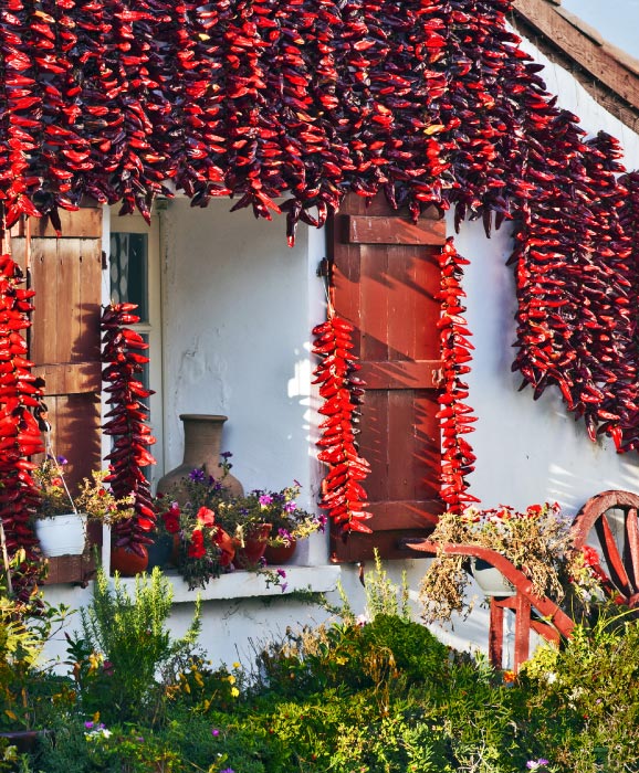 biarritz-france-best-destinations-for-food-lovers