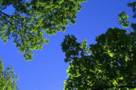 Bielefeld to things to do - Ravensburger Park - Copyright bandsalat-zum-fruehstueck