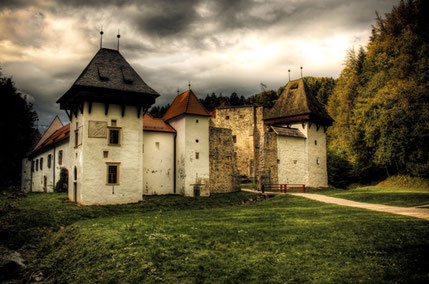 Charterhouse Žiče 