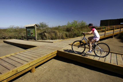Cycling Elbro Delta
