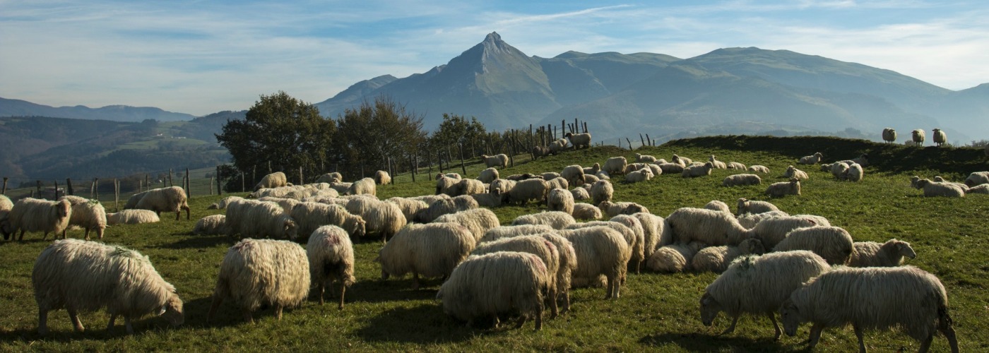 Goierri
