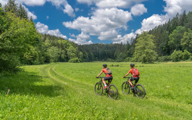 Bavaria - European  Best Destinations Copyright  Umomos