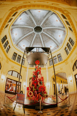 Advent in Zagreb - Zagreb Christmas Market copyright S. Cerić Kovačević  
