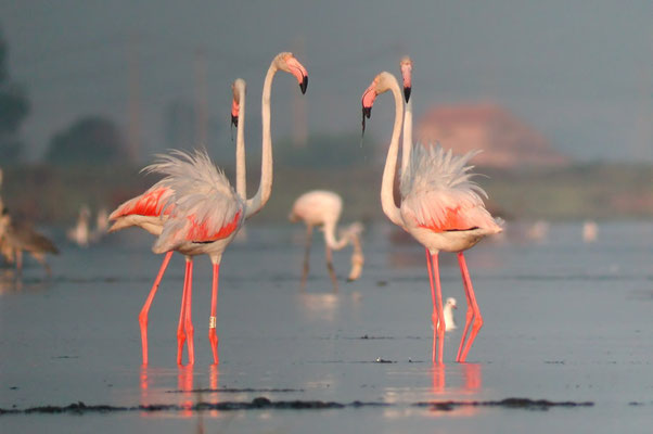The Elbro Delta National Park - European Destinations of Excellence - European Best Destinations 