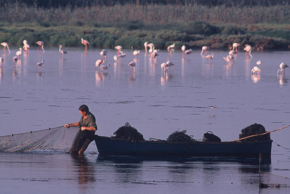 The Elbro Delta National Park - European Destinations of Excellence - European Best Destinations 