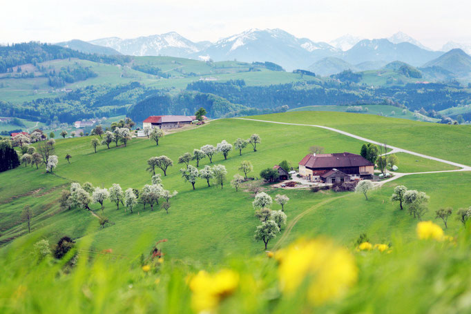 Mostviertel - European Destinations of Excellence - European Best Destinations - Copyright weinfranz