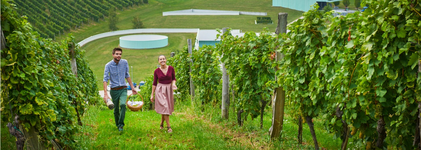 Slovenske Konjice