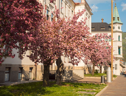 Lace school of Idrija