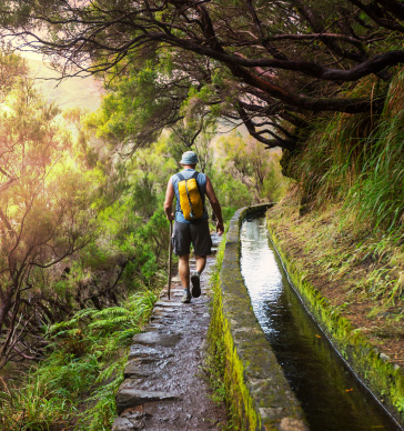madeira