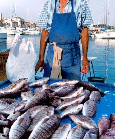 marseille-best-destinations-for-food-lovers