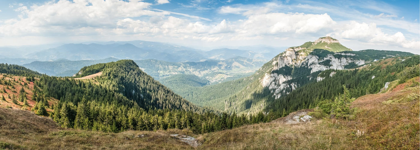 Neamt county