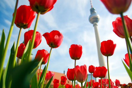 op things to do in Berlin - European Best Destinations - Copyright Claudio Divizia