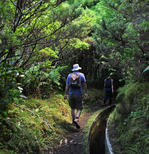 FAIAL-PORTUGAL-eden